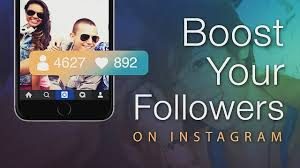 instagram followers